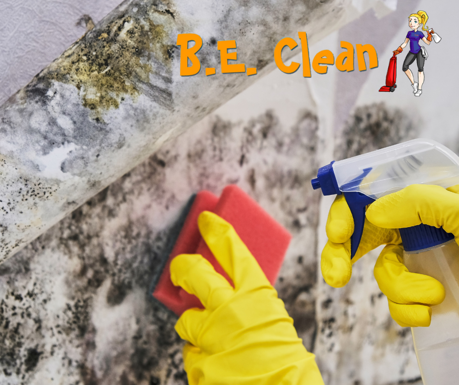 Read more about the article How To Remove Mold In Your Home